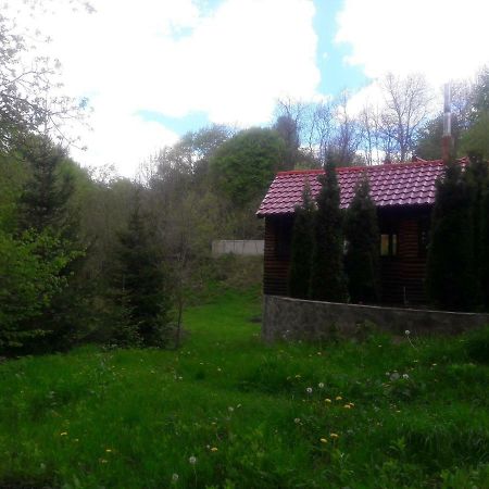 Hotel Casa Daos Nucşoara Zewnętrze zdjęcie