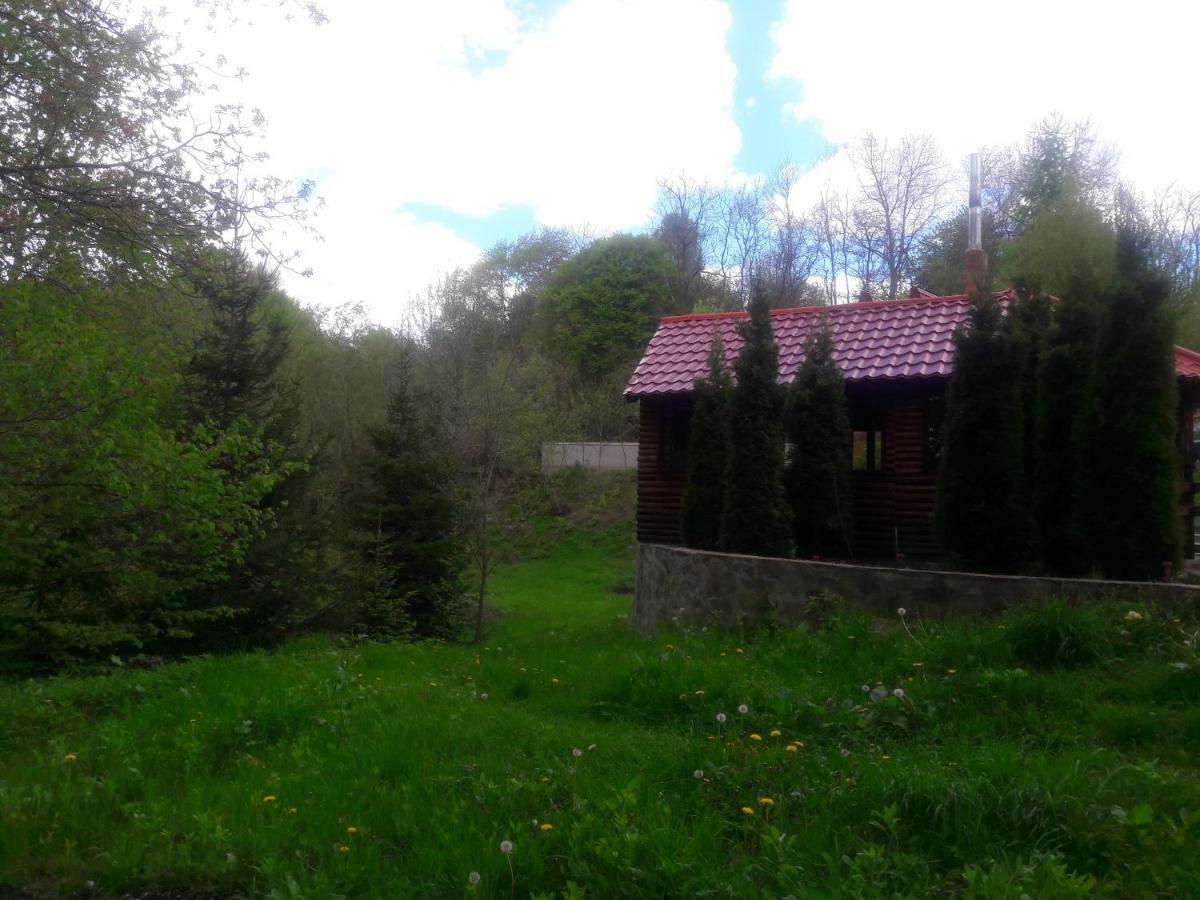 Hotel Casa Daos Nucşoara Zewnętrze zdjęcie
