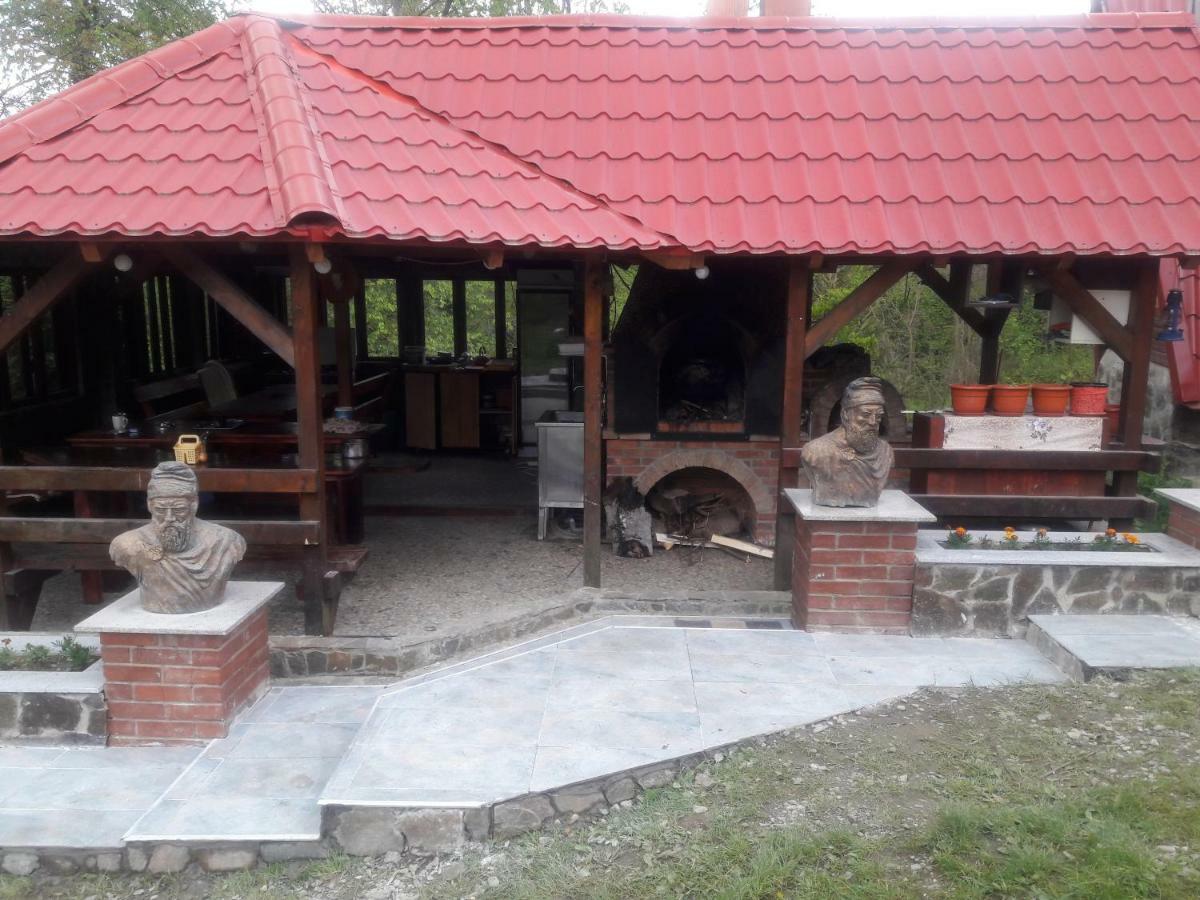 Hotel Casa Daos Nucşoara Zewnętrze zdjęcie