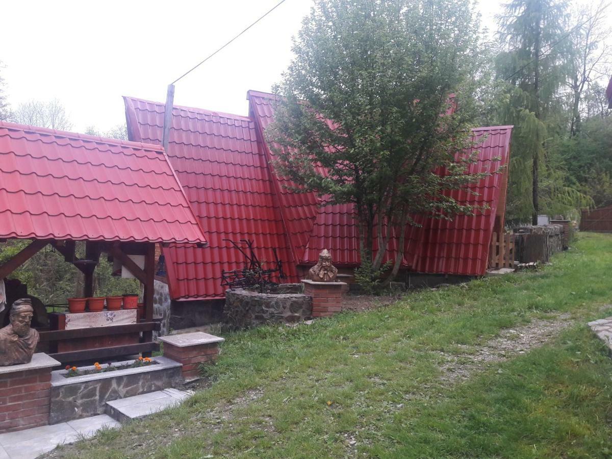 Hotel Casa Daos Nucşoara Zewnętrze zdjęcie